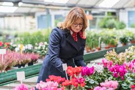 Cheapest place to buy flowers for yard. Woman Buying Flowers In Plant Nursery Stockphoto