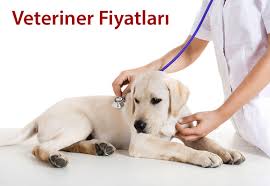 Veteriner Klinikleri Fiyatlari