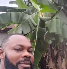 Paul Ehney in people