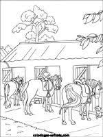 Coloriages D Equitation Coloriage Coloriage Poney Coloriage Enfant