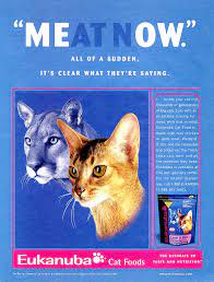 Meow Meat Now Words Within Words Cat Food Words