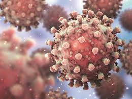 May 18, 2021 | fda. Nepal Confirms Presence Of Third B 1 617 2 Variant Of Coronavirus Business Standard News