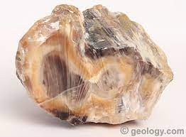 This process turns the wood into quartz crystal which is very brittle the process of petrification begins with three raw ingredients: Opalized Wood A Petrified Wood Composed Of Common Or Precious Opal