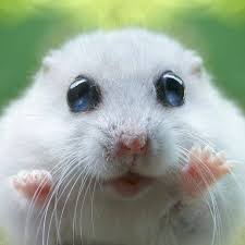 .bazinală de apă banat (aba banat) vă informează că viiturile formate în urma precipitațiilor căzute în ultimele 24 de ore pe cursurile de apă aflate specialiştii aba banat monitorizează în permanenţă debitele şi nivelurile cursurilor de apă iar formaţiile de lucru, cât şi formaţia de intervenţie, sunt. Administratia Bazinala De Apa Banat