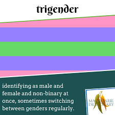 Macquarie Dictionary New Words Trigender Identifying As Male And Female And Non Binary At Once Sometimes Switching Between Gend Cool Words Words New Words