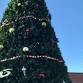 Greer Christmas Tree Lighting event image