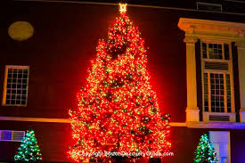 Boston Christmas Tree Lighting Events Christmas Tree Lighting Christmas Tree What Is Christmas