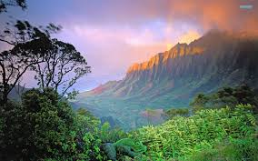 Best 3840x2160 hawaii wallpaper, 4k uhd 16:9 desktop background for any computer, laptop, tablet and phone. 68 Hd Hawaii