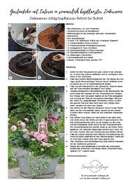 Die 10 besten dekoideen fur eure hochzeit tipps papierhimmel blog. Gartendeko Mit Laterne In Sommerlich Bepflanzter Zinkwanne