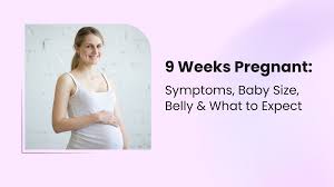 9 Weeks Pregnant: Symptoms, Baby Size, Belly and Expectation