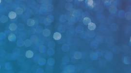 Kelli Ohara Awards