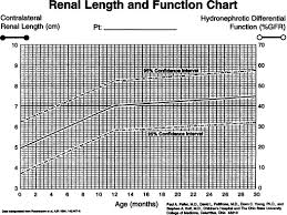 diagnostic criteria for assessing obstruction in the newborn