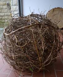 Spontan Aus Dem Wald Geholt Weidenkugel Wald Und Korbflechten