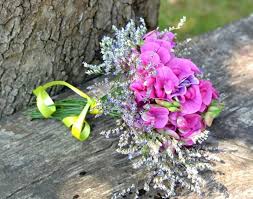 April Birth Flowers April Birth Flower Birth Flowers Fragrant Flowers