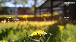 Music community tribe of noise acquired free music archive. Rising Acoustic Guitar Folk Song Royalty Free Background Music Download Mp3 Wav Youtube