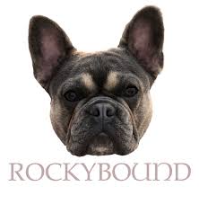 We are a small family run hobby show kennel, (mother & daughter), we breed occasionally when we want a new addition to our kennel and type and temperament is of upmost importance to us. Rockybound Frenchies