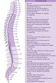 Spinal Cord Injury Functional Ability Spinal Cord Injury Levels Spinal Cord Injury Treatment Spinal Cord
