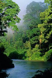 6 Reasons To Skip Bangkok And Bali And Head To Malaysia Instead Beautiful Nature Beautiful Landscapes Nature Photography