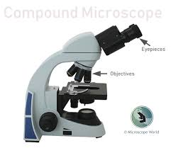 (1, 2, 3, and 4) image 1: What Is A Compound Microscope Microscope World