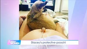English singer and tv personality stacey solomon is believed to be the sausage on the show the masked singer. her fans are convinced that she just dropped a major clue when she took home a new doggo, which is a sausage dog. Stacey Solomon Reveals Sweet Way Dog Has Changed Since She Became Pregnant Mirror Online