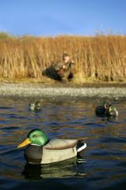 How do you build a dog door duck blind? Build Hunting Blinds For Ducks And Geese