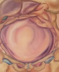 We did not find results for: Abdominal Pain In Late Pregnancy Sciencedirect