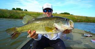 Doing so helps prevent drying out the skin of the fish. How To Land Big Fish The Do S And Don Ts Of Fighting Fish