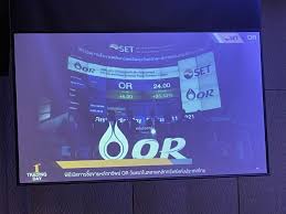 สำหรับราคาจองอยู่ที่ 18 บาทต่อหุ้น จองขั้นต่ำ 300 หุ้น และเพิ่มทุก 100 หุ้น ทั้งนี้ สามารถจองผ่านช่องทาง online ด้วย website: Xjsue648zs0zem