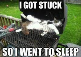I Got Stuck In Bbq Cat Meme Cat Planet Cat Planet