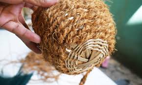 Cara membuat pot dari serat sabut kelapa. Sulap Sabut Kelapa Jadi Pot Cantik Chalim Kewalahan Terima Orderan Beta News