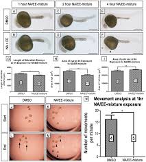 I've recently been prescribed norethisterone to induce a period. The Primodos Components Norethisterone Acetate And Ethinyl Estradiol Induce Developmental Abnormalities In Zebrafish Embryos Scientific Reports