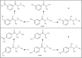 This means it may effectively boost the levels of the norepinephrine and dopamine neurotransmitters in the brain by. Conformational Analysis Energy Profile And Structural Electronic Properties Evaluation Of Mephedrone Derivatives Employing Quantum Mechanical Models Springerlink