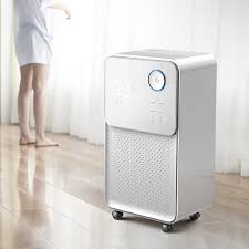 Today there are hundreds of basement dehumidifiers to chose from. Sj 125e Smart Dehumidifier Industrial High Power Dehumidifier Bedroom Clothes Dryer Basement Silent Dehumidifying Dryer Dehumidifiers Aliexpress