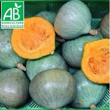 Courge Blue Ballet Bio Plante Plutot Coureuse Aux Fruits De 1 A 3 Kg De Couleur Gris Vert D Excellente Conservation Courge Variete De Courge Recette Courge