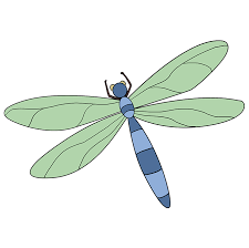 How To Draw A Dragonfly Really Easy Drawing Tutorial Easy Drawings Dragonfly Drawing Easy Dragon Drawings