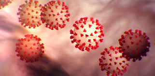 Epidemiological Models 10 Things To Know About Coronavirus Research