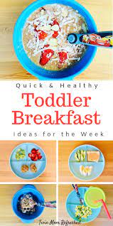 Easy And Healthy Breakfast Meal Ideas Healthy Toddler Breakfast Healthy Toddler Meals Toddler Breakfast