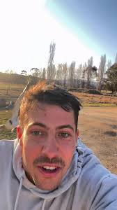 Plomer Bird Swooping