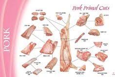 Meat Cut Charts