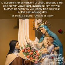 Society Of The Little Flower On Instagram O Sweetest Star Of Heaven O Virgin Spotless Blest Shining With Jesus Light Therese Of Lisieux Lisieux Blessed
