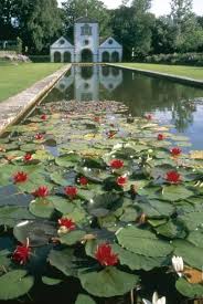 Things To Do In Snowdonia Bodnant Garden Beautiful Gardens Dream Garden Garden