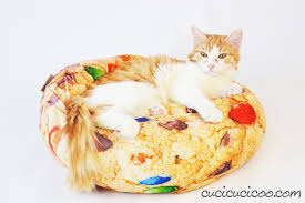 Cat toys made with household recyclables. 8 Easy Homemade Recycled Cat Toys In Under 5 Minutes Cucicucicoo