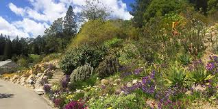 Had the best wedding at lcotf (chapel of the flowers). Must See Gardens In California