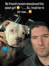 Should I rescue Bella? What do you think? Some say it's a bad idea because  she's a pit bull and could be risky around my young daughters…