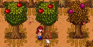 Do Fruit Trees Bear Fruits Even If Theyre Surrounded By Paths Chucklefish Forums