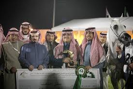 البديعة بيبيتا تستعيد مكانتها كأفضل فرس وتهدي مربط أكمل ذهبية مركز الملك عبدالعزيز Arabian Horse Horses Arabians