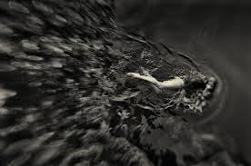 Black And White Film Photography Abstract Photograph Of A Swimmer With A Lensbaby Maryland Film Photographer Abstract Photographs Lensbaby Film Photographers