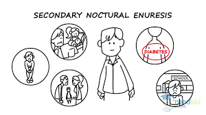 Image result for Enuresis