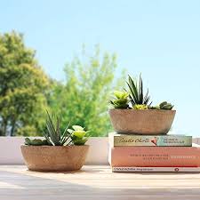 Check spelling or type a new query. Comsaf Pianta Artificiale Vaso Piante Grasse Verde Scuro Negozio Caffetteria Ufficio Piante Finte Vasi Piante Fiori Artificiali Da Interno Esterno Decorazioni Per Soggiorno Aipeguwahati In