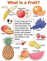 No matter how simple the math problem is, just seeing numbers and equations could send many people running for the hills. Fun Fruit Quiz Free Online Quizzes For Kids With Interactive Score Game